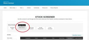 using the stock screener on motley fool to start investing